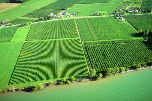 Qu’est-ce qui fait 1 hectare 